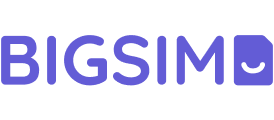 bigsim